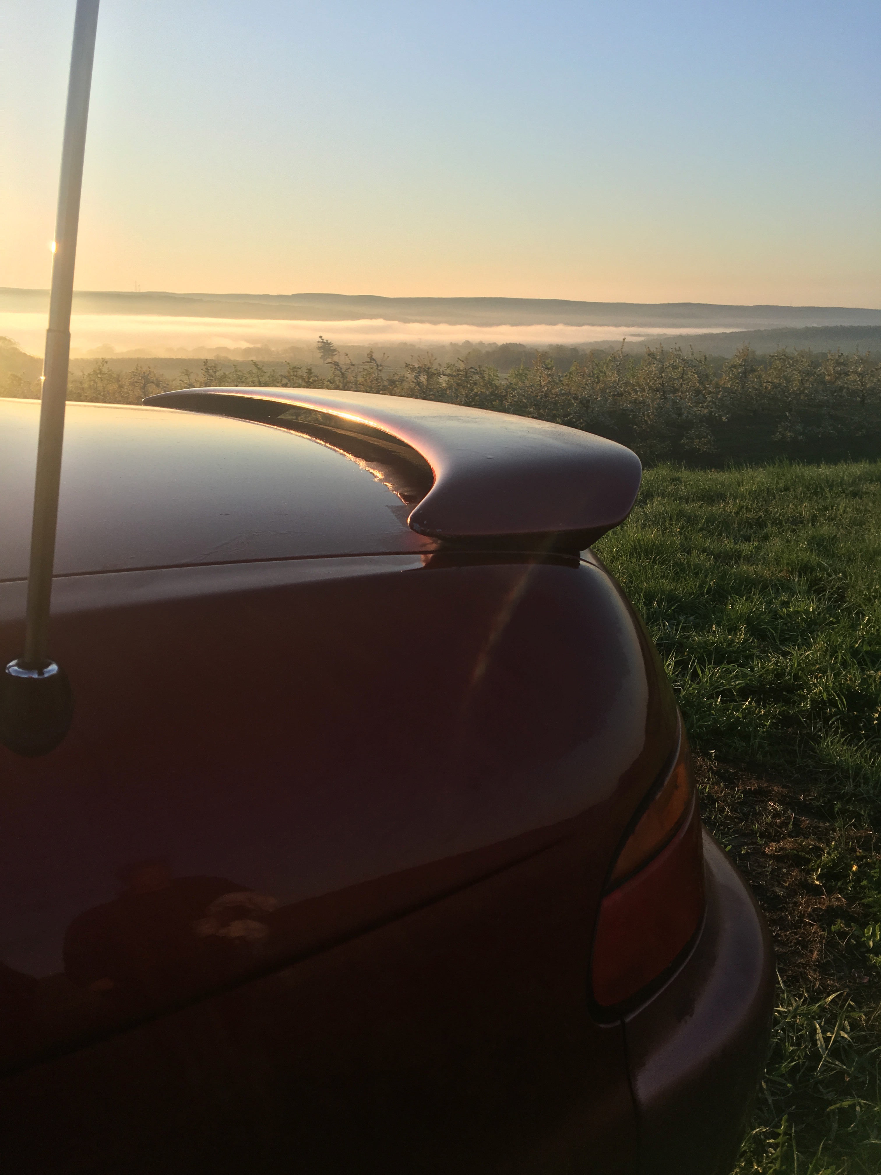1993 Lexus SC 300 – Supra-Platform 2JZ GT Coupe, Refined Rear-Drive Lexus Classic — photo 26